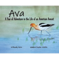 Ava: A Year of Adventure in the Life of an American Avocet - Hardcover