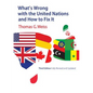 What's Wrong with the United Nations and How to Fix It - Paperback