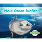 Mola Ocean Sunfish - Library Binding