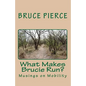 What Makes Brucie Run?: Musings on Mobility - Paperback