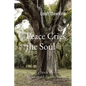Peace Cries the Soul - Paperback