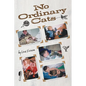 No Ordinary Cats - Paperback