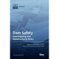 Dam Safety.: Overtopping and Geostructural Risks - Hardcover