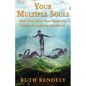 Your Multiple Souls - How They Direct Your Creativity, Genius, Complexity, and Moods - Paperback