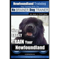 Newfoundland Training Dog Training with the No BRAINER DogTRAINER We Make it THAT Easy!: How to EASILY TRAIN Your Newfoundland - Paperback