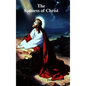 The Sadness of Christ - Hardcover