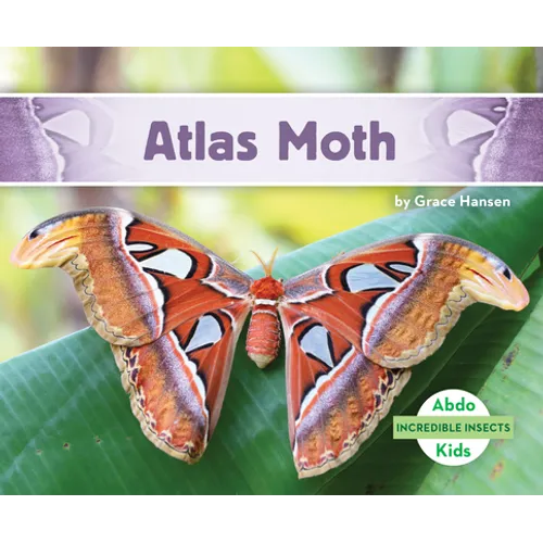 Atlas Moth - Library Binding