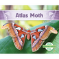 Atlas Moth - Library Binding