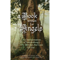 A Book Written For Angels: An interpretation of Swedenborg's "The Worship and Love of God" - Paperback