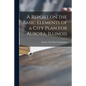 A Report on the Basic Elements of a City Plan for Aurora, Illinois - Paperback