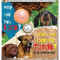 Why Are You Late? - Hardcover
