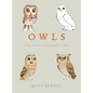Owls: Our Most Charming Bird - Hardcover
