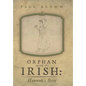 Orphan Among the Irish: Hanorah's Story - Hardcover