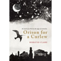 Orison for a Curlew: In Search for a Bird on the Edge of Extinction - Hardcover