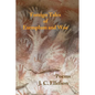 Foreign Tales of Exemplum and Woe: Poems - Paperback