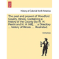 The past and present of Woodford County, Illinois. Containing a history of the County [by W. H. Perrin and H. H. Hill], ... a Directory ... history of - Paperback