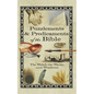 Puzzlements & Predicaments of the Bible - Paperback