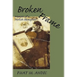 Broken Frame: Memoirs of a Turkish Immigrant - Paperback