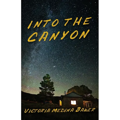 Into the Canyon - Paperback