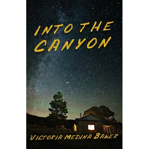 Into the Canyon - Paperback