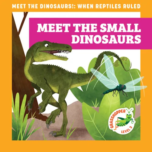 Meet the Small Dinosaurs - Library Binding