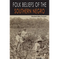 Folk Beliefs of the Southern Negro - Paperback