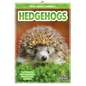 Hedgehogs - Hardcover