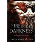 Fire In The Darkness - Paperback
