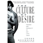 The Culture of Desire: Paradox and Perversity in Gay Lives Today - Paperback