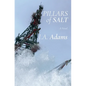 Pillars of Salt - Paperback