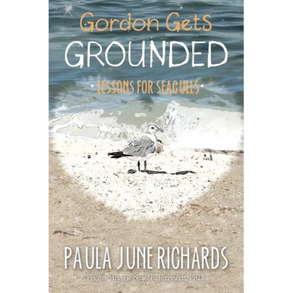 Gordon Gets Grounded: Lessons For Seagulls - Paperback
