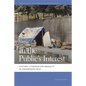 In the Public's Interest: Evictions, Citizenship, and Inequality in Contemporary Delhi - Paperback