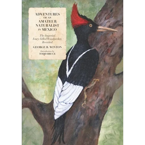 Adventures of an Amateur Naturalist in Mexico: The Imperial Ivory-billed Woodpecker, Revisited - Paperback