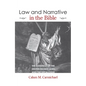 Law and Narrative in the Bible - Paperback