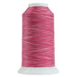 9031 Taffy Omni Variegated Polyester Thread