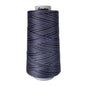 M14 Shadows Signature Cotton Variegated Thread