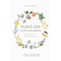 Plant Life in Field and Garden: Nature Study For Kids - Australian Edition - Paperback