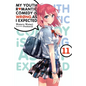 My Youth Romantic Comedy Is Wrong, as I Expected, Vol. 11 (Light Novel): Volume 11 - Paperback