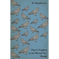 Pigeon Trapping in the Old and New Worlds - Paperback