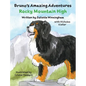 Rocky Mountain High - Hardcover