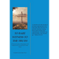 To Bare Witness to the Truth: A Practical Guide to Witnessing for the Gospel of Our Lord and Savior Jesus Christ - Paperback