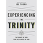Experiencing the Trinity: The Grace of God for the People of God - Paperback