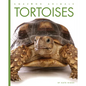 Tortoises - Paperback