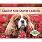 Cavalier King Charles Spaniels - Library Binding