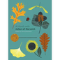 A Month with Julian of Norwich - Paperback