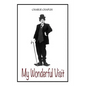My Wonderful Visit - Paperback
