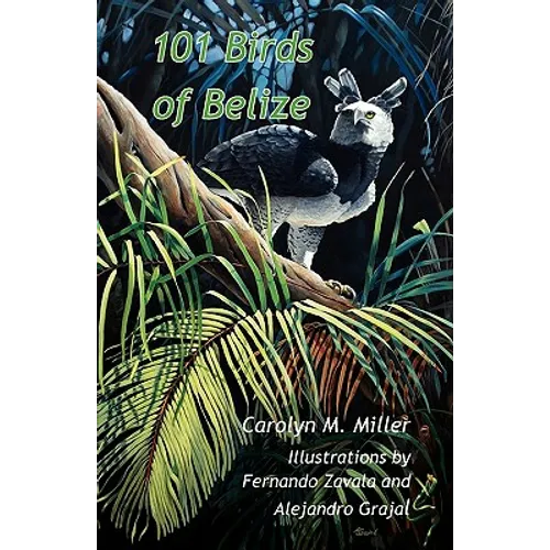 101 Birds of Belize - Paperback