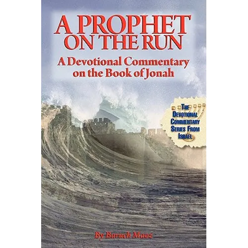 A Prophet on the Run - Paperback