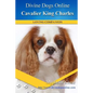 Cavalier King Charles Spaniel - Paperback