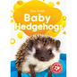 Baby Hedgehogs - Paperback